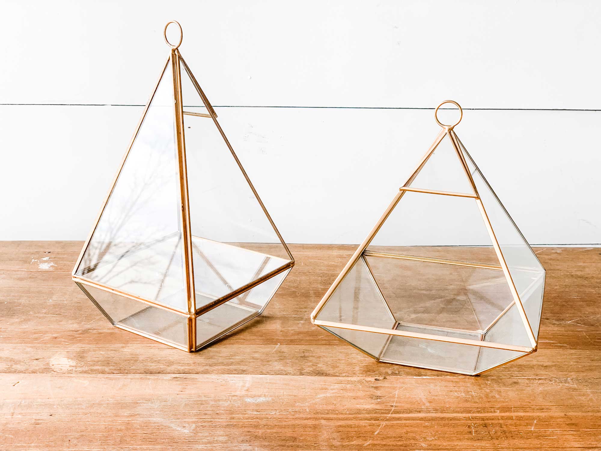 Geometric Terrariums